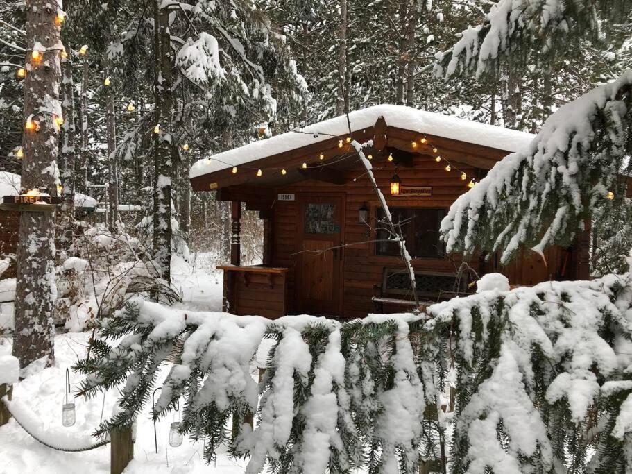 Fancy Fireflies Cabin ヘイワード エクステリア 写真