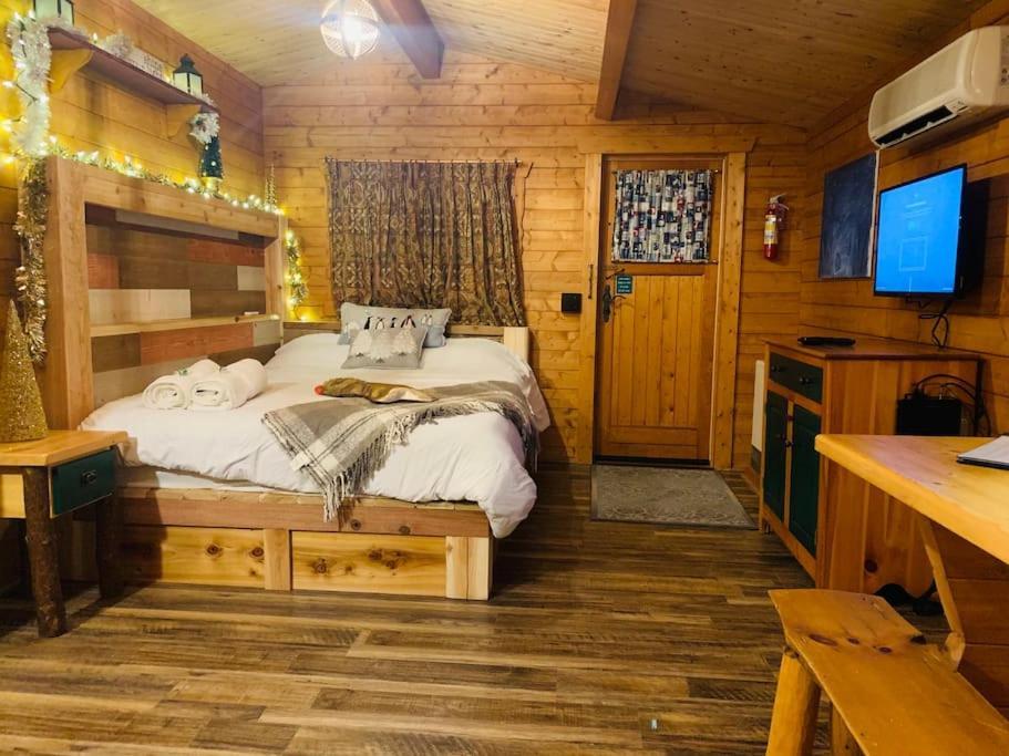 Fancy Fireflies Cabin ヘイワード エクステリア 写真