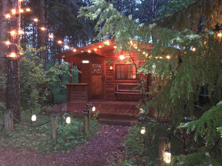 Fancy Fireflies Cabin ヘイワード エクステリア 写真