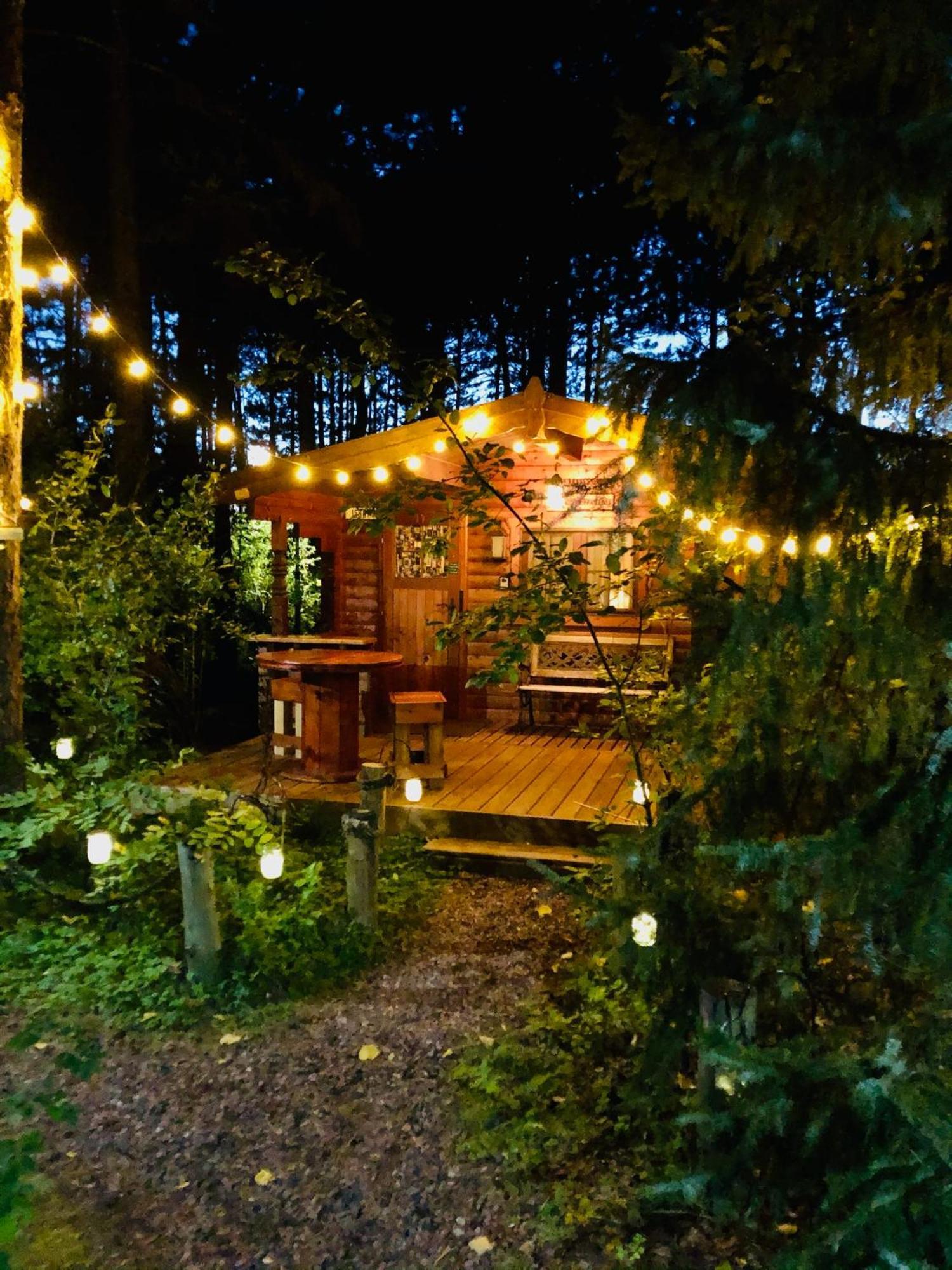 Fancy Fireflies Cabin ヘイワード エクステリア 写真
